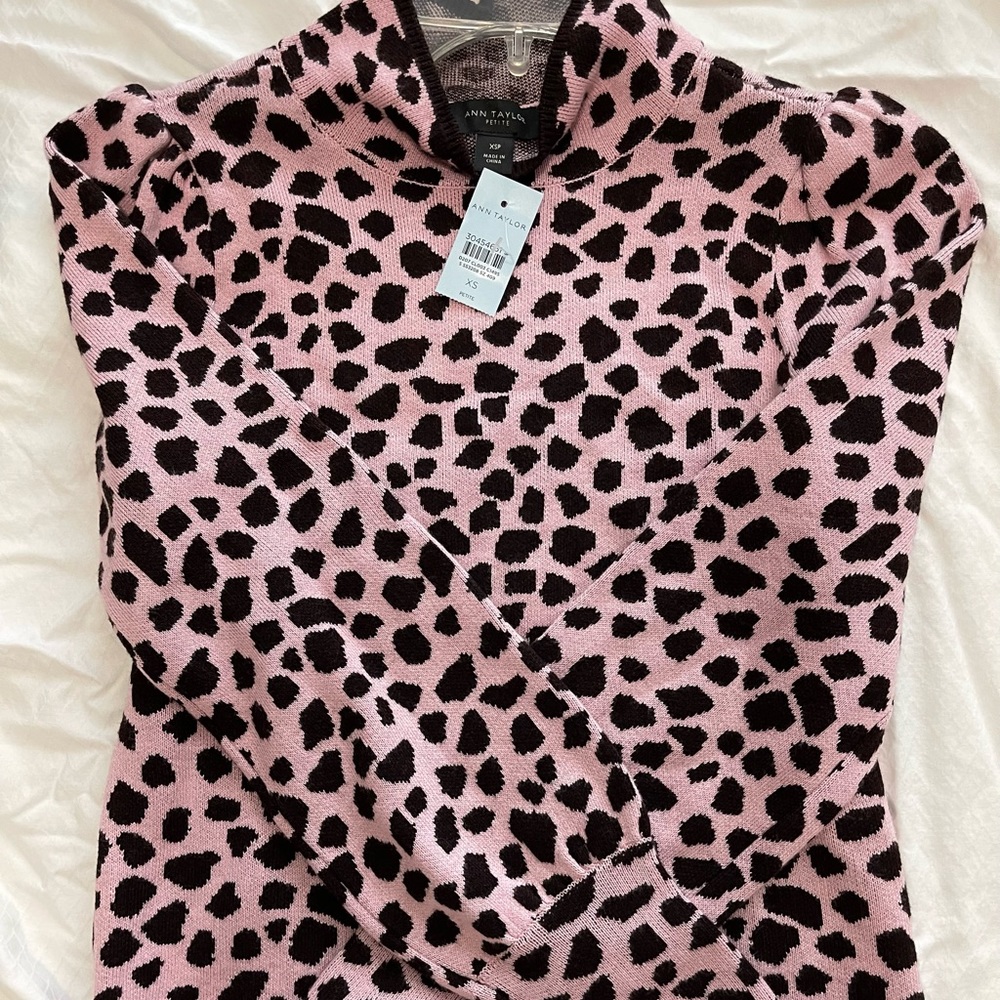 Ann Taylor sweater